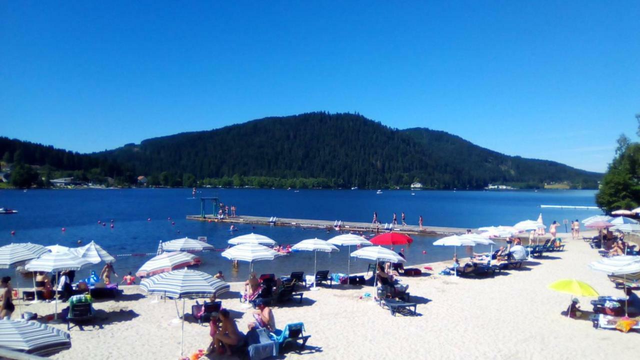 Chalet Les Camelias Spa Gérardmer Екстериор снимка