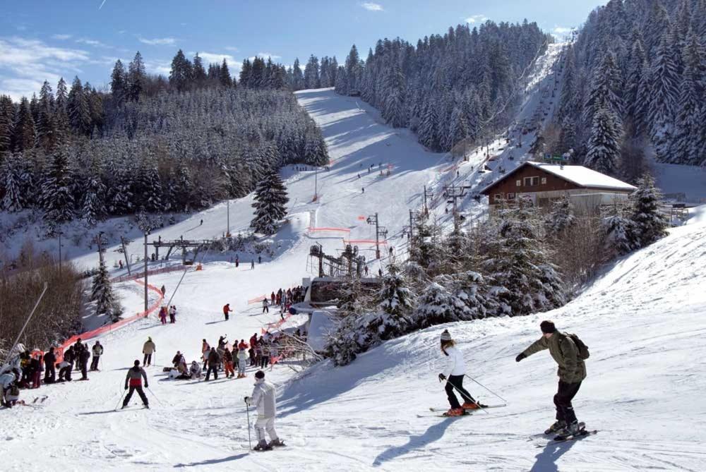 Chalet Les Camelias Spa Gérardmer Екстериор снимка